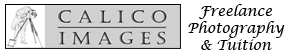 Calico Images Photography Logo